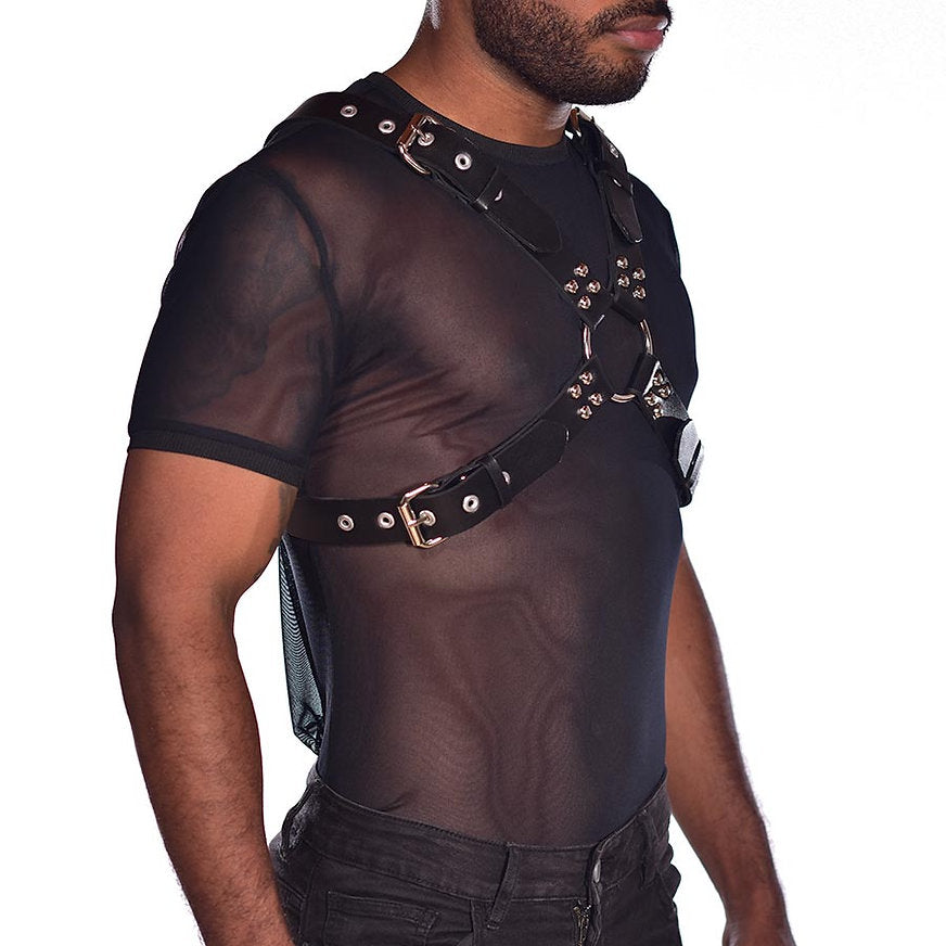 Harness spartan