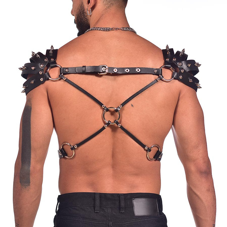 Harness viking