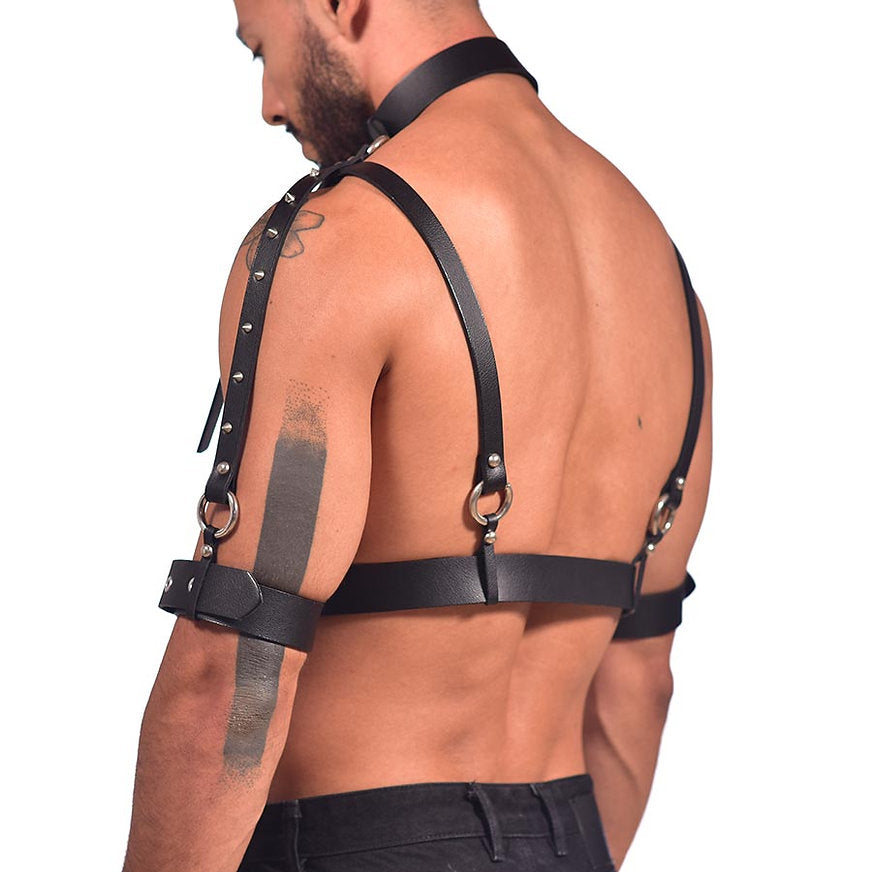 Harness full chest and sleeve