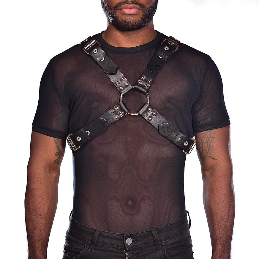 Harness spartan