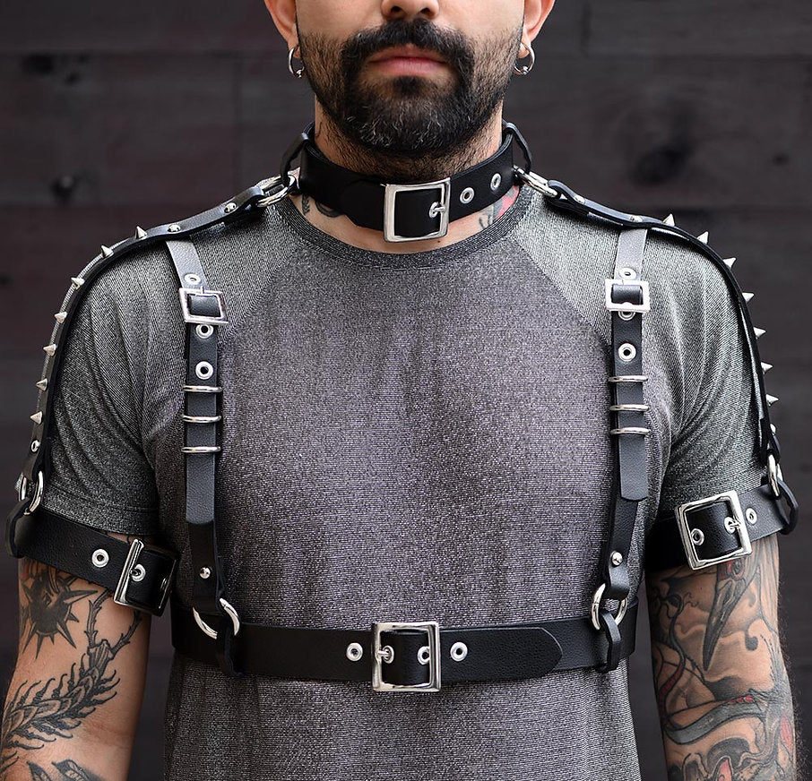 Harness full chest and sleeve