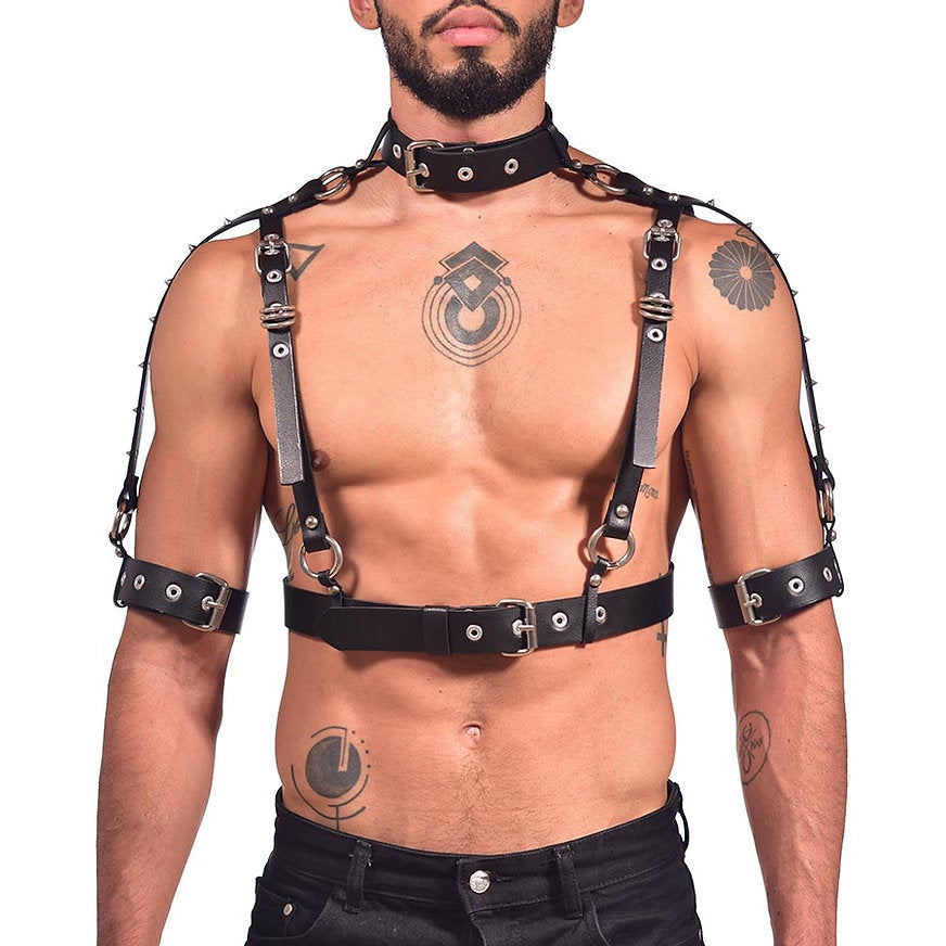 Harness full chest and sleeve