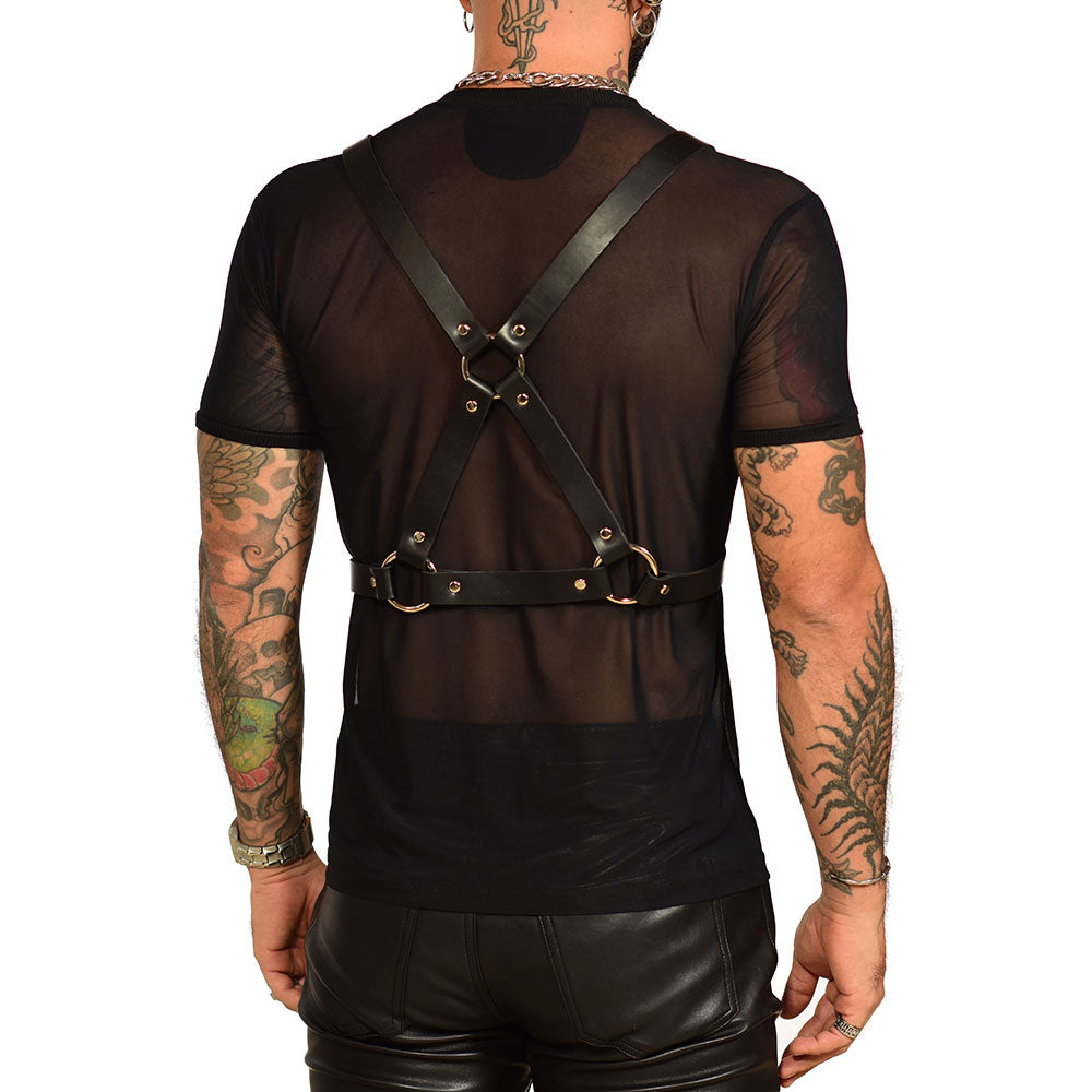 Harness bronthor superimposed