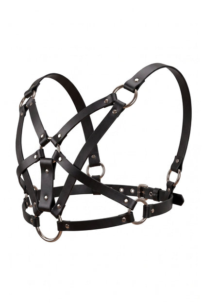 Harness inverted pentagram
