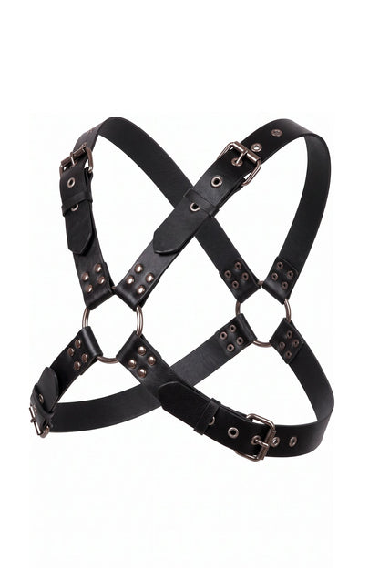 Harness spartan