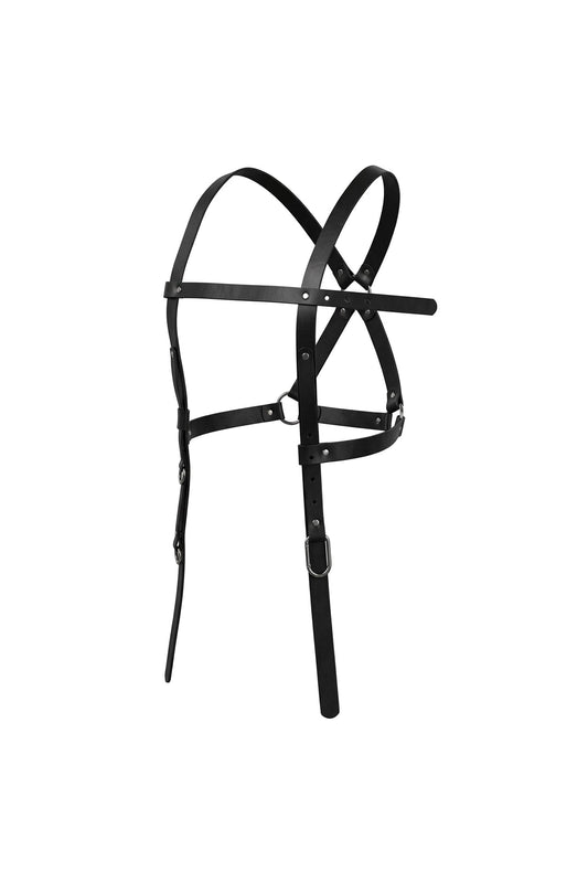 Harness bronthor superimposed